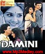 Damini 1993